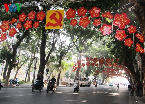 Hanoi welcomes Lunar New Year holiday - ảnh 8